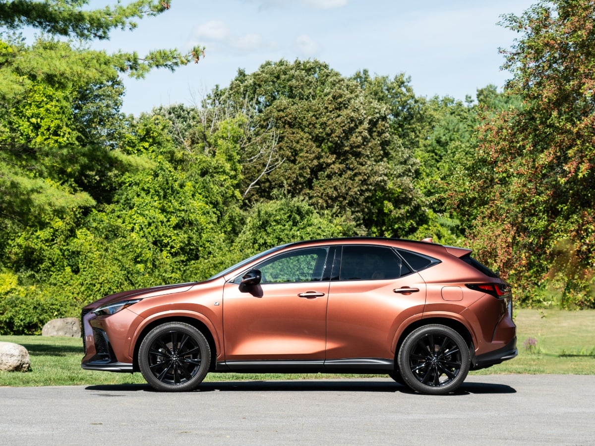 2025 Lexus NX 350 Review Update
